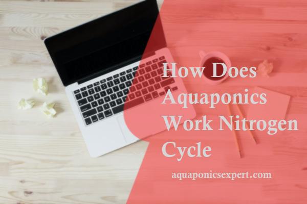 How Does Aquaponics Work Nitrogen Cycle