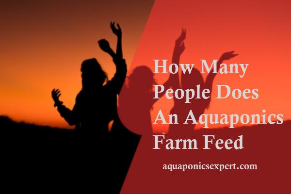 How Many People Does An Aquaponics Farm Feed