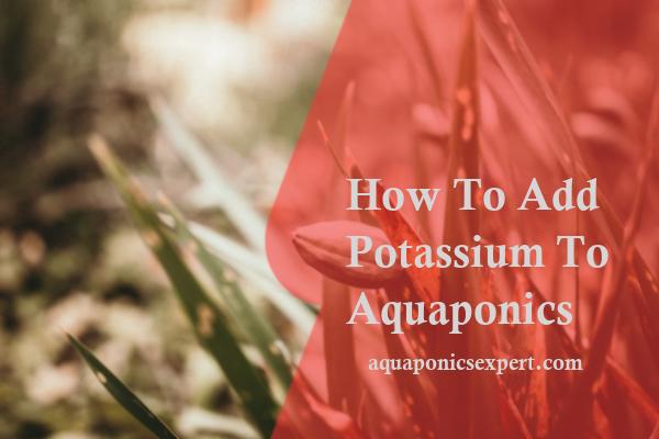 How To Add Potassium To Aquaponics