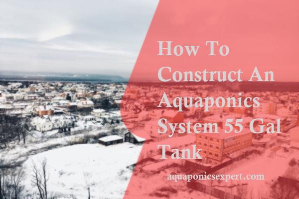 How To Construct An Aquaponics System 55 Gal Tank